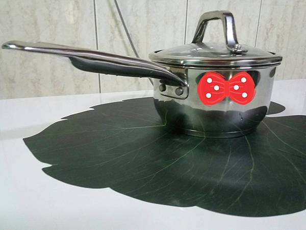 [心得] 義大利鍋具Lagostina 樂鍋史蒂娜 小湯鍋