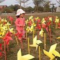 photo (14)