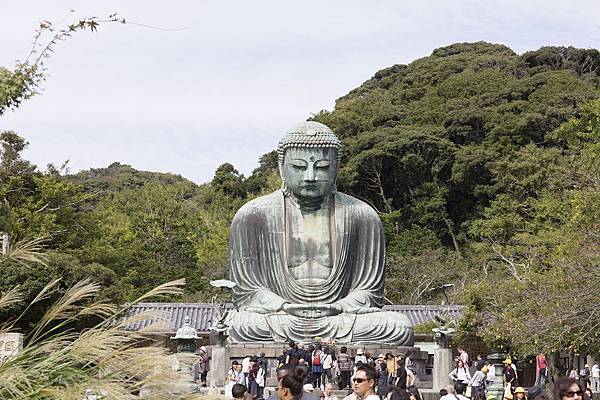 _I5A7660_copy.jpg _I5A7660_copy.jpg