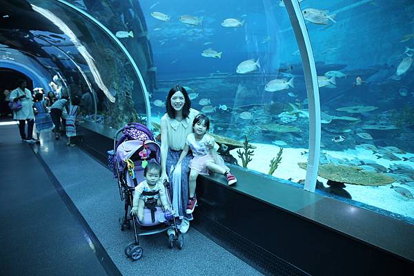 0I5A2662.JPG 0I5A2662.JPG