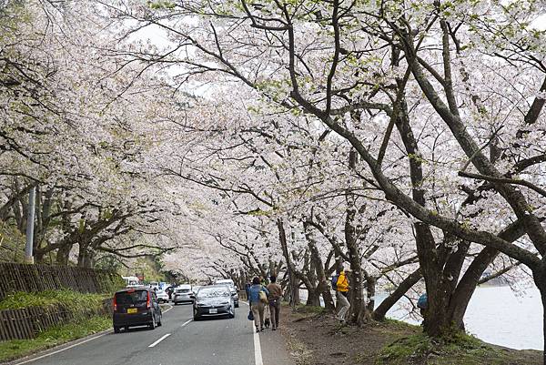 _I5A4296.jpg _I5A4296.jpg