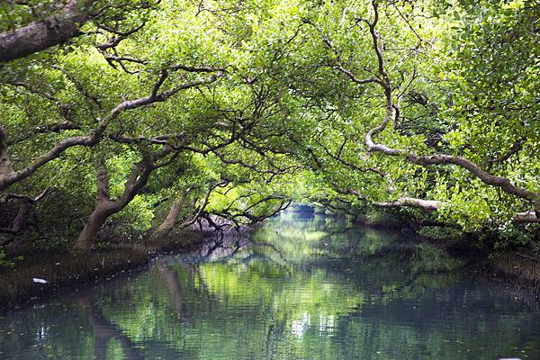 _I5A6182.jpg _I5A6182.jpg