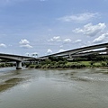 IMG_3777.JPG