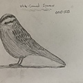 IMG_3980.jpg