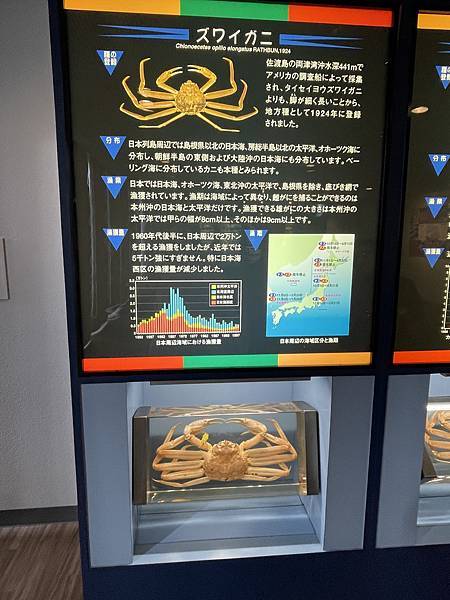 【2023/11 京都賞楓】之八：前進越前蟹