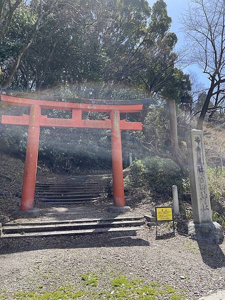 【2024/3 京都】京都的早櫻--豐國神社、醍醐寺