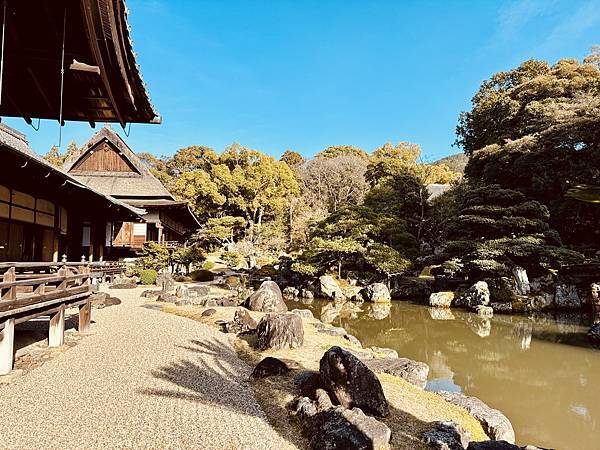 【2024/3 京都】京都的早櫻--豐國神社、醍醐寺