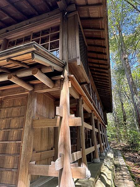 【2024/3 京都】京都的早櫻--豐國神社、醍醐寺