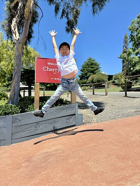 Melbourne trip day 5: Cherryhi