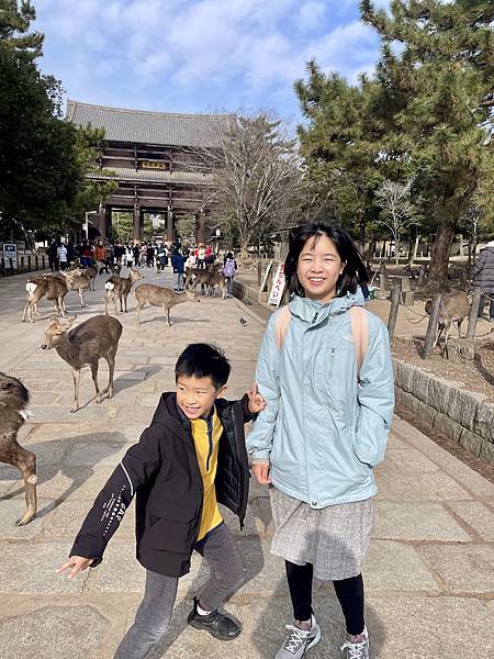 奈良公園、東大寺及宇治平等院