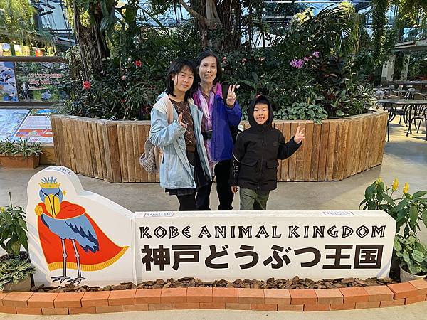 2025/1 京都大阪行之十六：神戶牛排、神戶動物王國、神戶