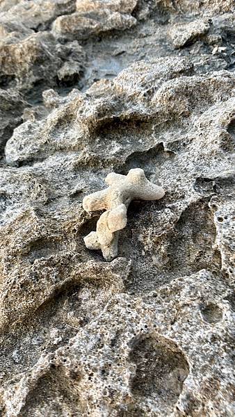 New Caledonia--Day 1: DoubleTr