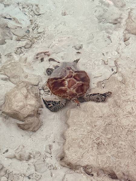 New Caledonia--Day 1: DoubleTr