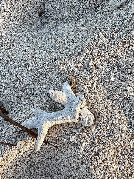 New Caledonia--Day 1: DoubleTr