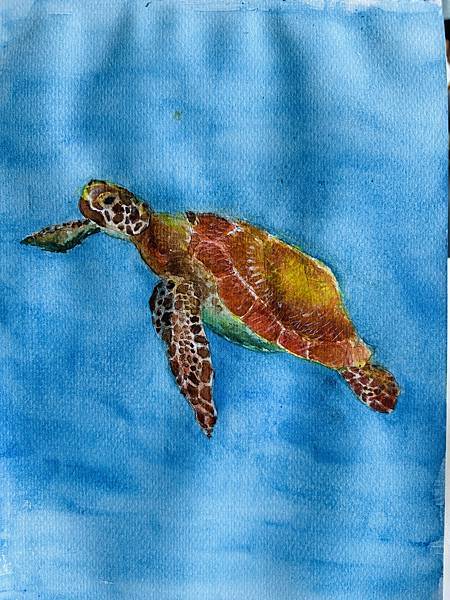 New Caledonia--Day 4: 搬入Noumea