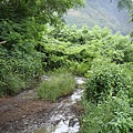 09_沿路上山.JPG