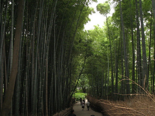 京都-1