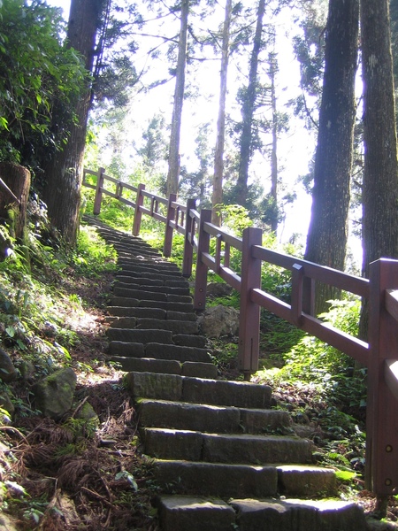 森林步道