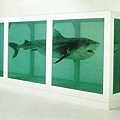 hirst-shark.jpg