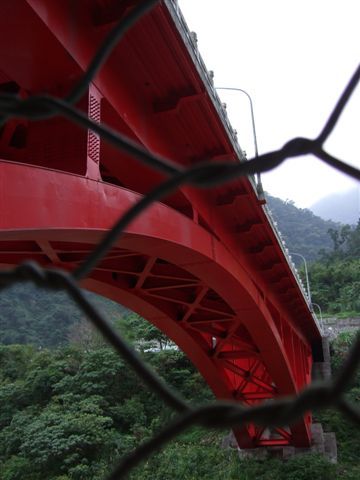 太魯閣- 砂卡噹步道- 鐵絲網圍成的階梯.jpg