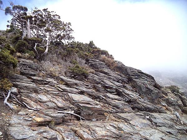 向陽山前100公尺攀爬