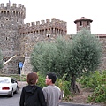 Castle Winery---Castello Di Amorosa