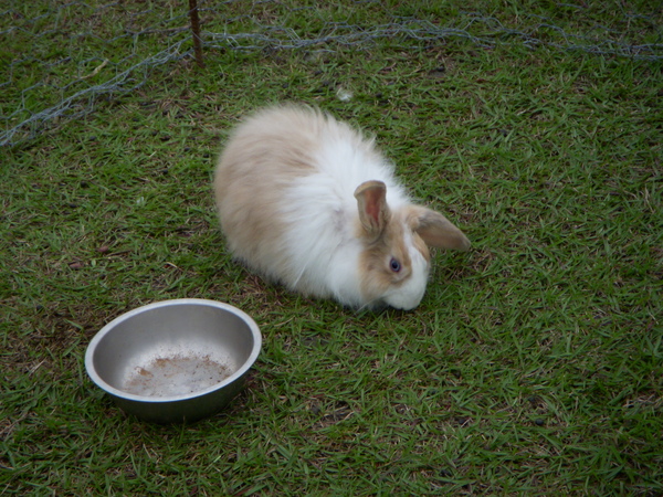 DSCN9799.JPG DSCN9799.JPG