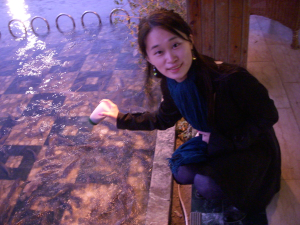 DSCN0090.JPG DSCN0090.JPG