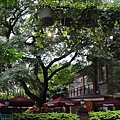 DSC04621.JPG