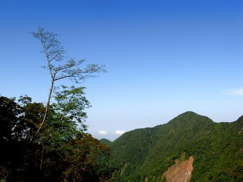 林道山景