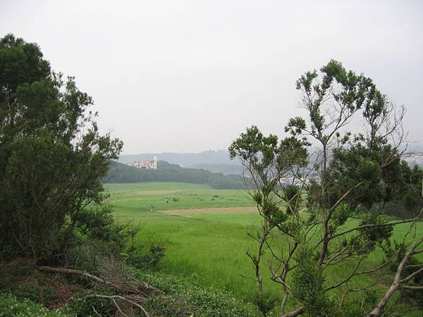 青青草原