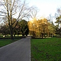 Bute Park