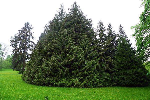 《Kassel》BergPark Wilhelmshöher 威廉高地公園