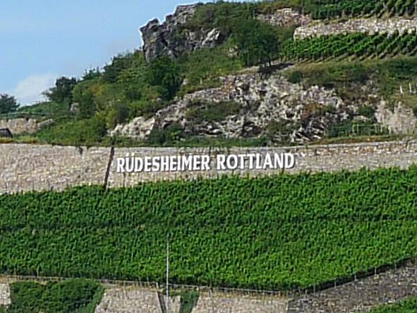 Rüdesheim