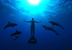 The_Cove_2009_promo_image.jpg The_Cove_2009_promo_image.jpg