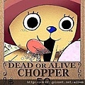 chopper1.jpg