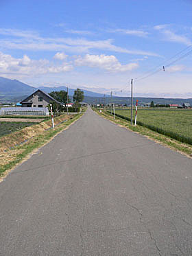 furano3