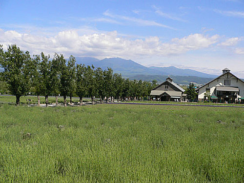 furano5