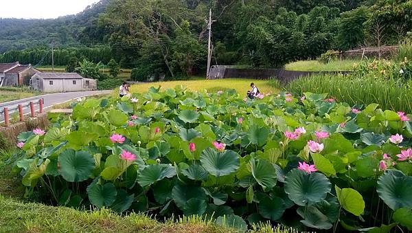 1500072130941.jpg 1500072130941.jpg