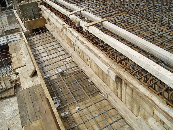 P9060559.JPG P9060559.JPG