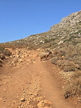 Day3 Balos Beach 驚豔的潟湖海灘: 克里特島