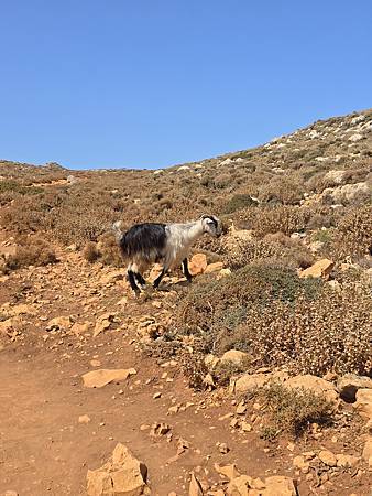 Day3 Balos Beach 驚豔的潟湖海灘: 克里特島 Day3 Balos Beach 驚豔的潟湖海灘: 克里特島
