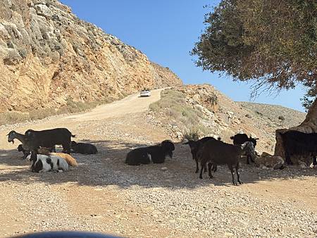 Day3 Balos Beach 驚豔的潟湖海灘: 克里特島