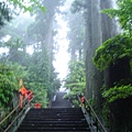 箱根神社要爬上去的階梯