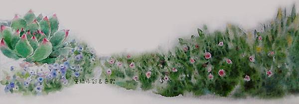 小草.jpg 小草.jpg