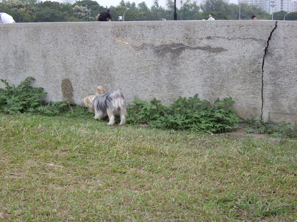 IMGP0497.JPG