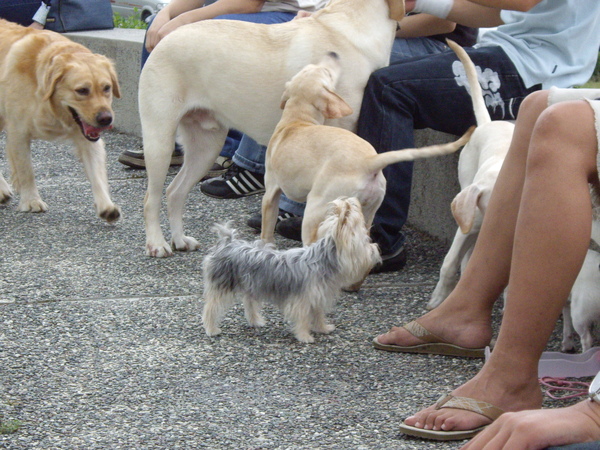 IMGP0505.JPG