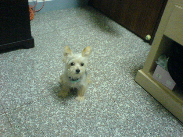 DSC00324.JPG