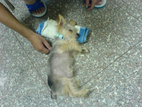 DSC00327.JPG