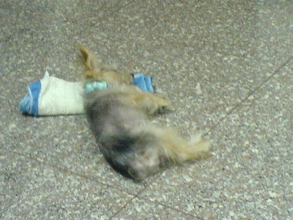 DSC00328.JPG